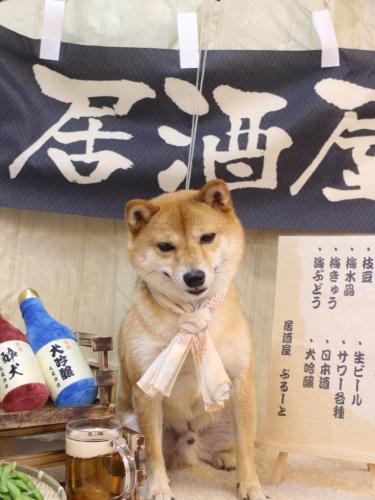 20240618茶々丸くん